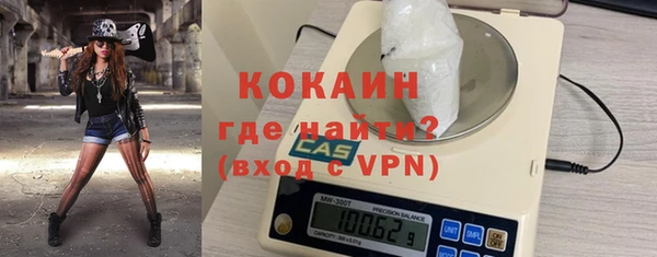 индика Нея