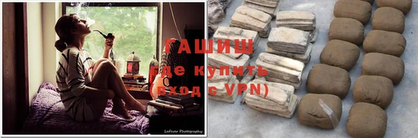 индика Нея