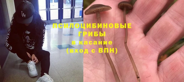 эйфоретик Нефтегорск