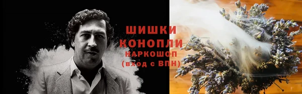 ГАЛЛЮЦИНОГЕННЫЕ ГРИБЫ Нефтекумск