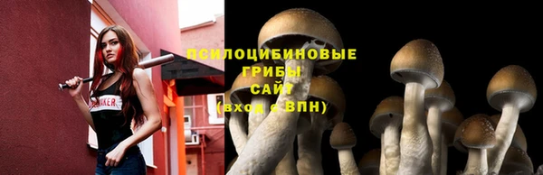 ГАЛЛЮЦИНОГЕННЫЕ ГРИБЫ Нефтекумск
