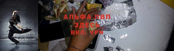 индика Нея