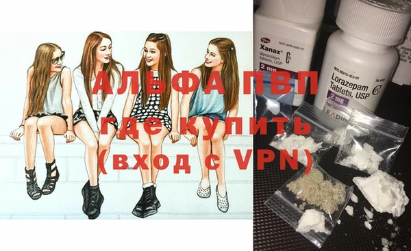 индика Нея