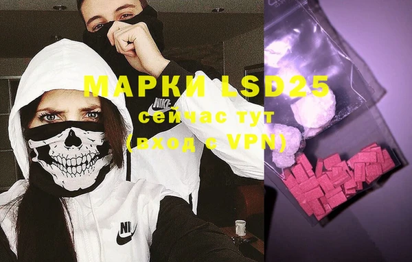 индика Нея
