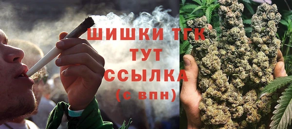 индика Нея