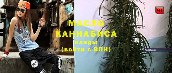 индика Нея