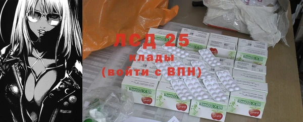 индика Нея