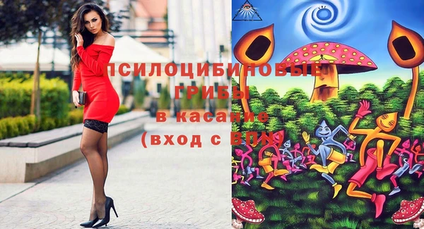 эйфоретик Нефтегорск