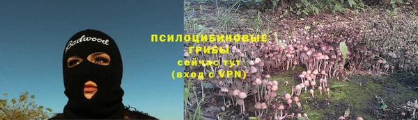 ГАЛЛЮЦИНОГЕННЫЕ ГРИБЫ Нефтекумск