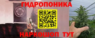 прущие крисы Донецк