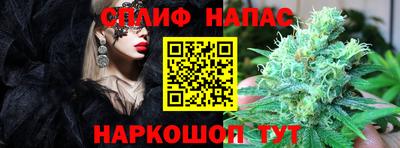 прущие крисы Донецк