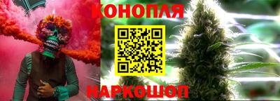прущие крисы Донецк