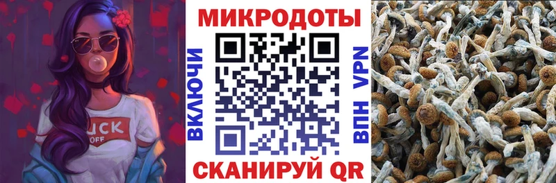 ссылка на мегу   darknet как зайти  Галлюциногенные грибы мицелий  Калач-на-Дону 